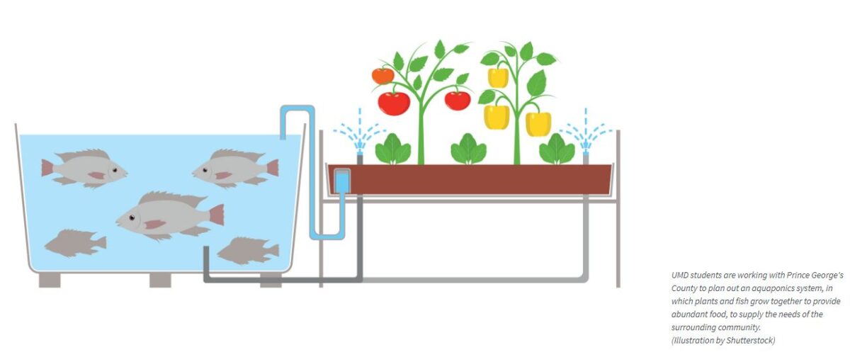 Water for Food Deserts illustration